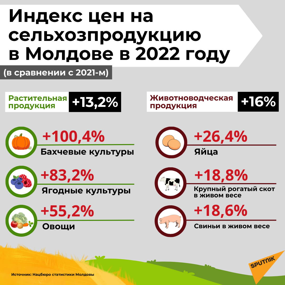 Цены производителя сельхозпродукции в 2022 году - Sputnik Молдова