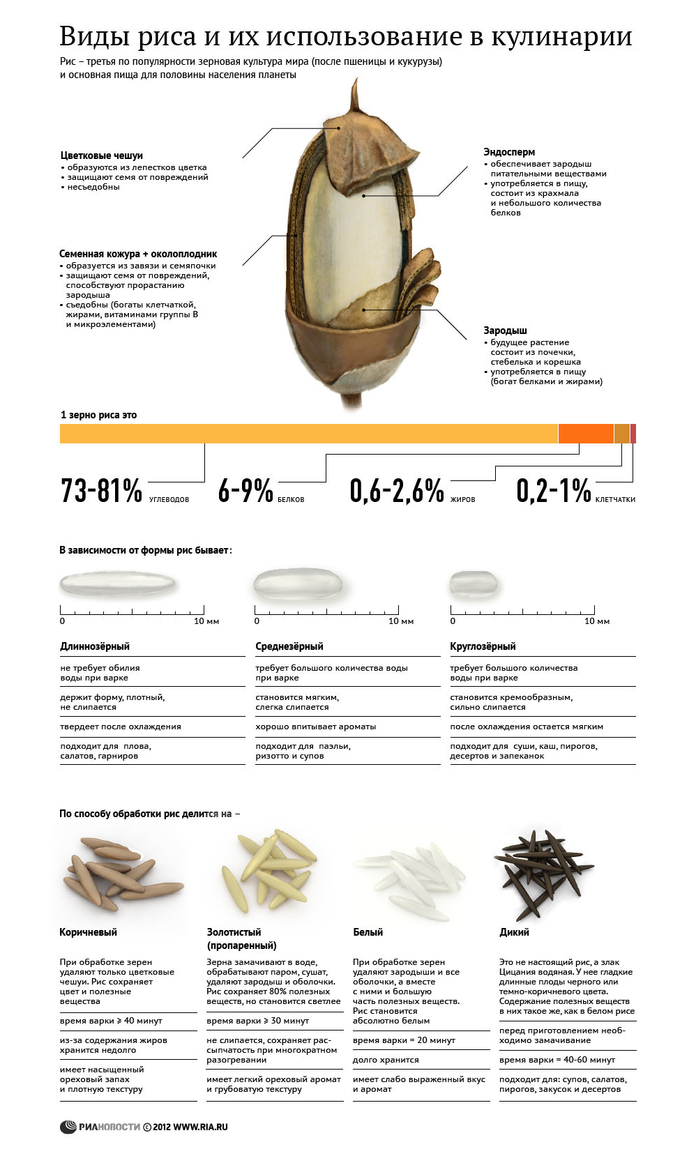 Виды риса и их использование в кулинарии - Sputnik Молдова