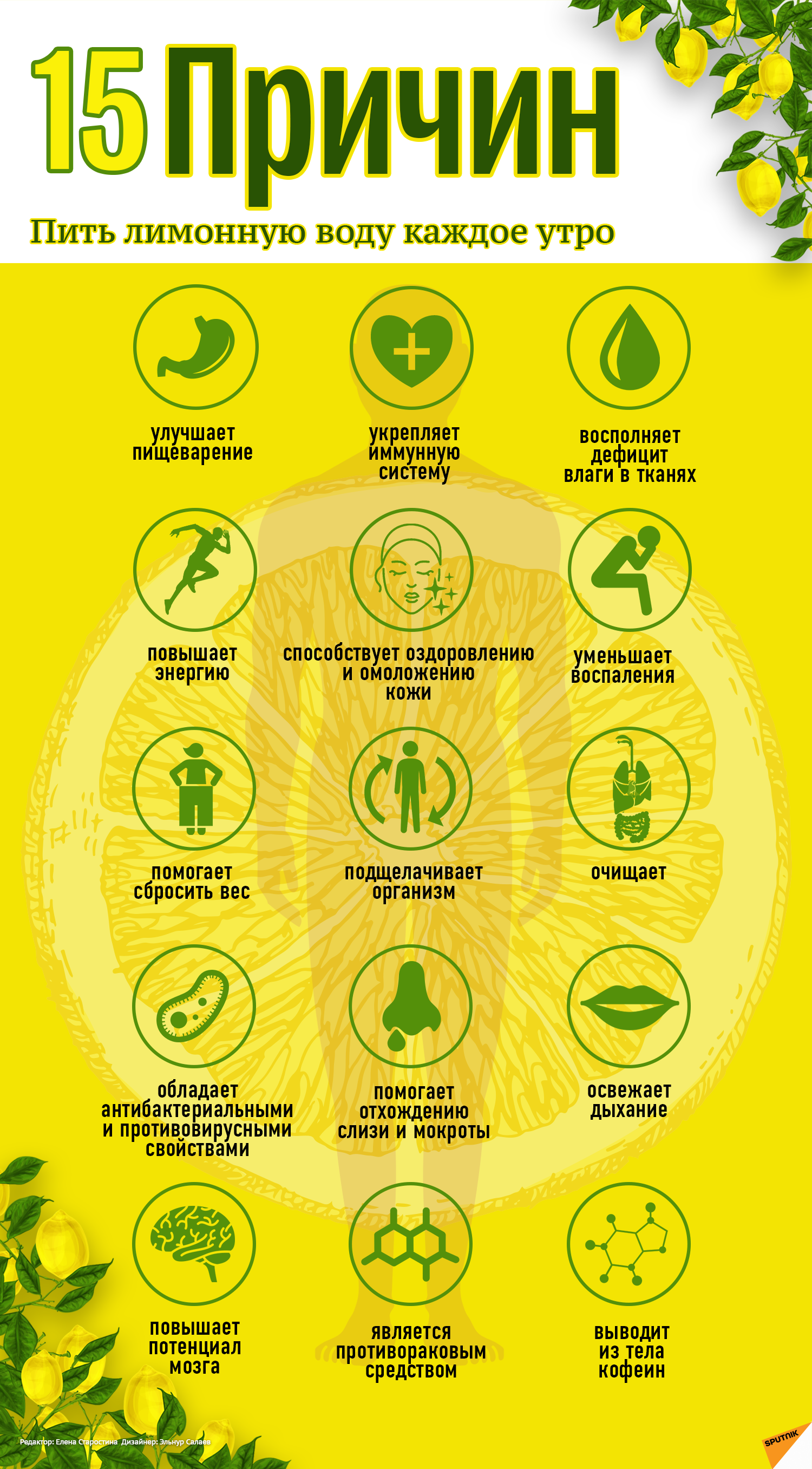 Лимон и вода: залог здоровья - Sputnik Молдова