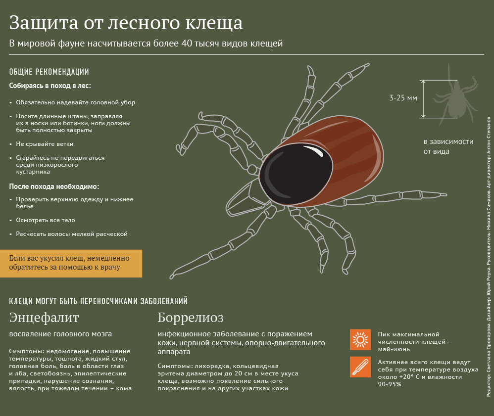 Защита от лесного клеща - Sputnik Молдова