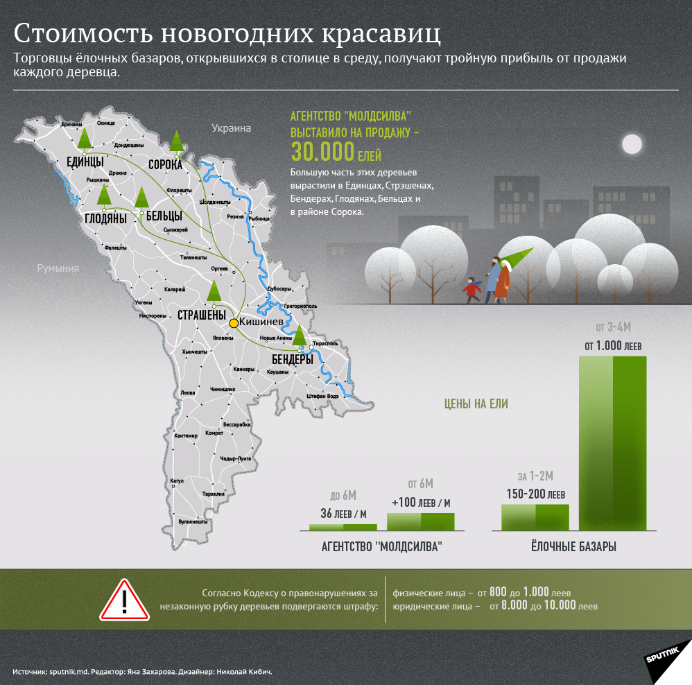 Сколько стоит елка - Sputnik Молдова