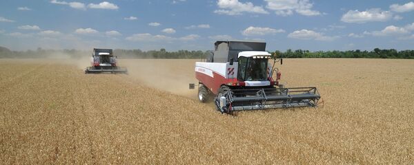 уборка урожая зерновых - Sputnik Молдова