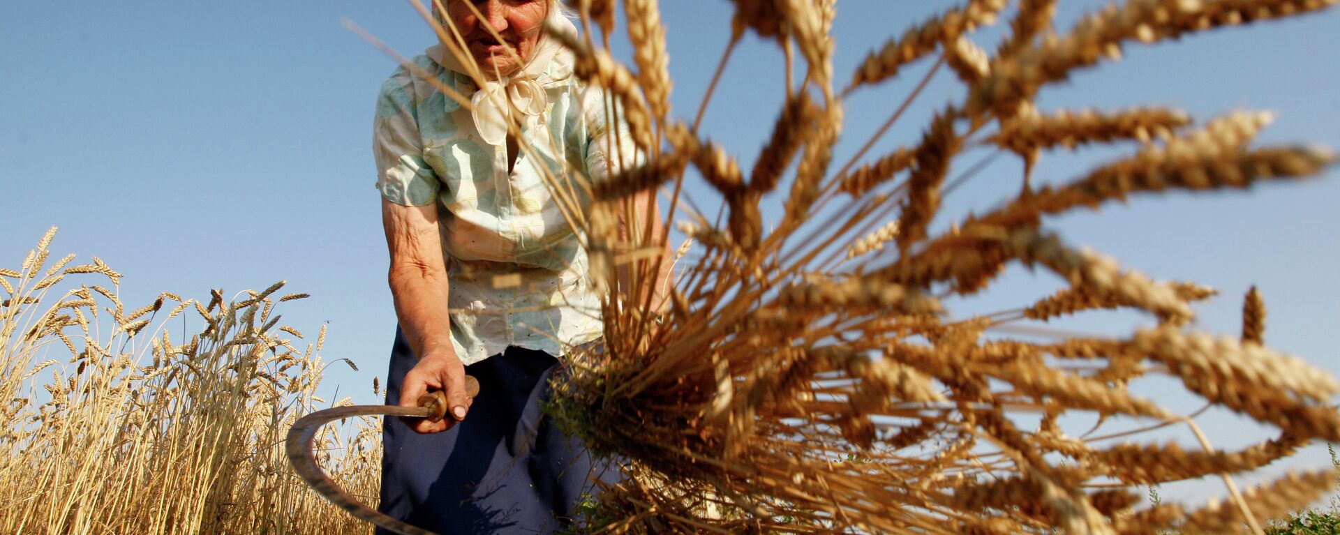 Женщины убирают пшеницу традиционным способом - Sputnik Moldova, 1920, 10.07.2021