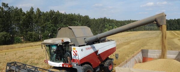 Уборка урожая зерновых - Sputnik Молдова