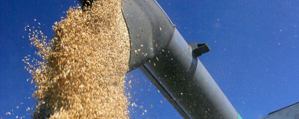 Уборка зерновых - Sputnik Moldova