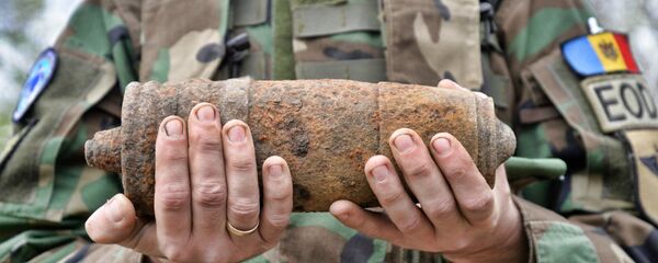 Военный сапер в лесу возле села Яловенского района. - Sputnik Молдова