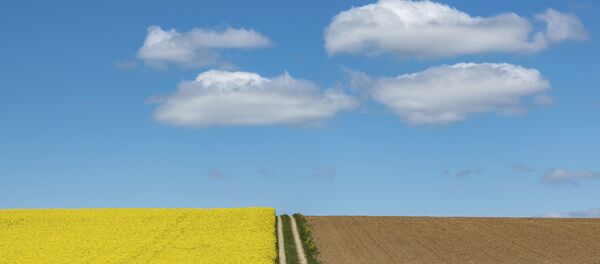 Поле - Sputnik Молдова