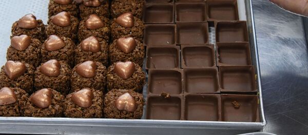 Шоколадная фабрика French Kiss - Sputnik Moldova-România