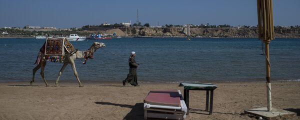 На территории одного из отелей Шарм-эш-Шейха. - Sputnik Молдова