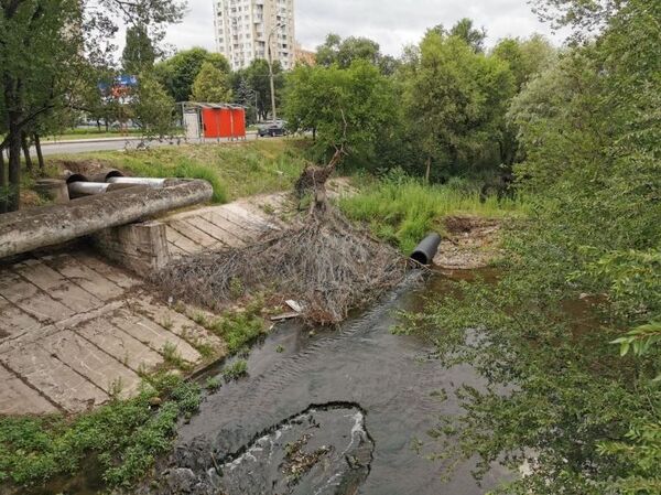 Cum a hotărât Primăria să prevină inundarea străzii Albișoara din cauza ploilor – Foto Cum a hotărât Primăria să prevină inundarea străzii Albișoara din cauza ploilor – Foto - Sputnik Moldova