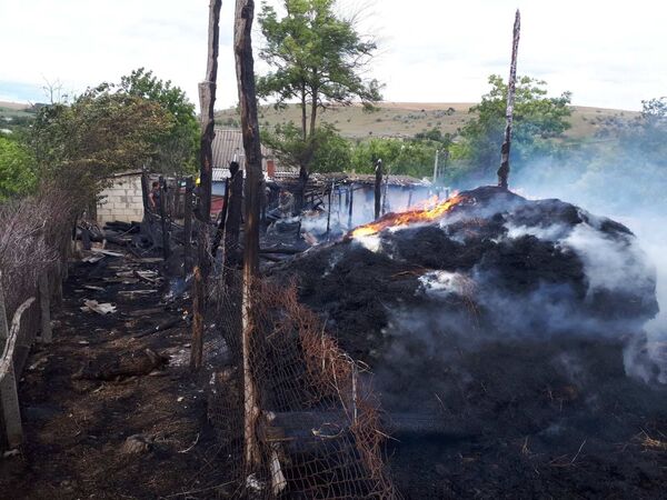 Mai mulți miei au pierit într-un incendiu pe care l-ar fi provocat doi copii – Foto Mai mulți miei au pierit într-un incendiu pe care l-ar fi provocat doi copii – Foto - Sputnik Moldova