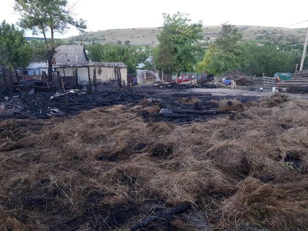Mai mulți miei au pierit într-un incendiu pe care l-ar fi provocat doi copii – Foto Mai mulți miei au pierit într-un incendiu pe care l-ar fi provocat doi copii – Foto - Sputnik Moldova