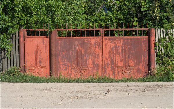 Ворота с олимпийской символикой в селе Пырыта. - Sputnik Молдова