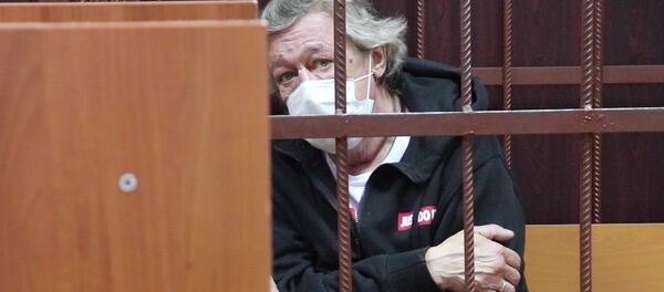 Актер Михаил Ефремов в Таганском районном суде, снимок с видео (9 июня 2020). Москвa - Sputnik Молдова