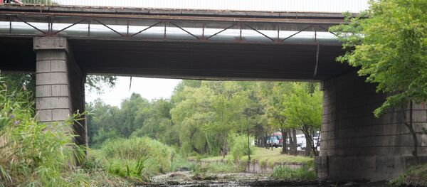 Очистка реки Бык - Sputnik Молдова