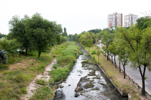 Протяженность реки Бык по территории Кишинева составляет 50 километров. - Sputnik Молдова