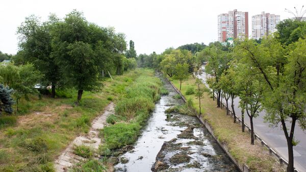 Очистка реки Бык - Sputnik Moldova