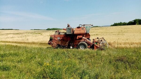 Fermierii din Nisporeni recoltează un lan de orz - Sputnik Moldova