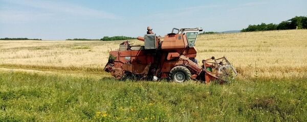 Fermierii din Nisporeni recoltează un lan de orz - Sputnik Moldova