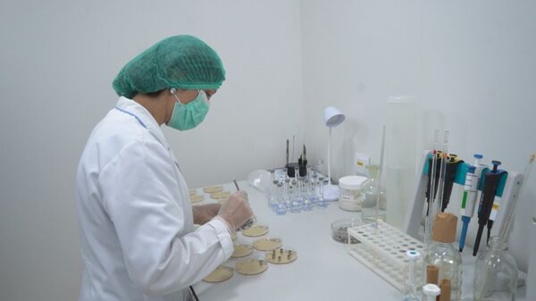 Молдова впервые проведет клинические исследования лекарств от COVID-19 - Sputnik Молдова