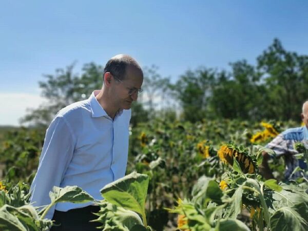 Video - La Nisporeni: Recolta de orz de trei ori mai mică decât în anii precedenți Video - La Nisporeni: Recolta de orz de trei ori mai mică decât în anii precedenți - Sputnik Moldova