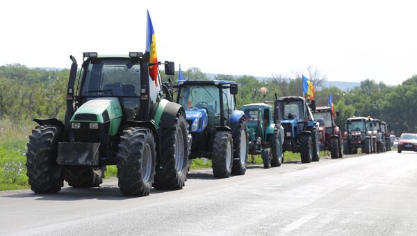 Протест сельхозпроизводителей - Sputnik Молдова