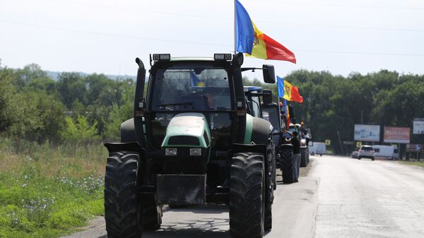 Фермеры в Молдове требуют встречи с правительством, иначе - протесты - Sputnik Молдова