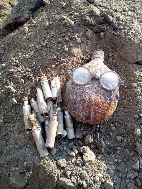 Лягушки-убийцы времен Великой Отечественной войны: опасны ли они в наши дни Лягушки-убийцы времен Великой Отечественной войны: опасны ли они в наши дни - Sputnik Молдова