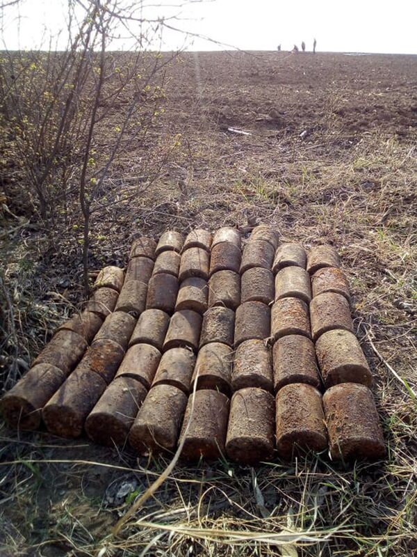 Лягушки-убийцы времен Великой Отечественной войны: опасны ли они в наши дни Лягушки-убийцы времен Великой Отечественной войны: опасны ли они в наши дни - Sputnik Молдова