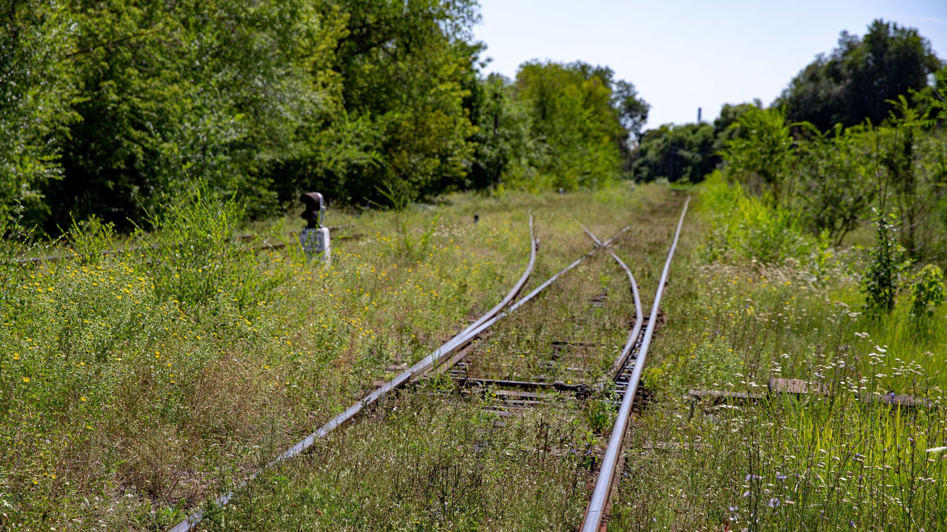 Железная дорога - Sputnik Молдова, 1920, 26.07.2021