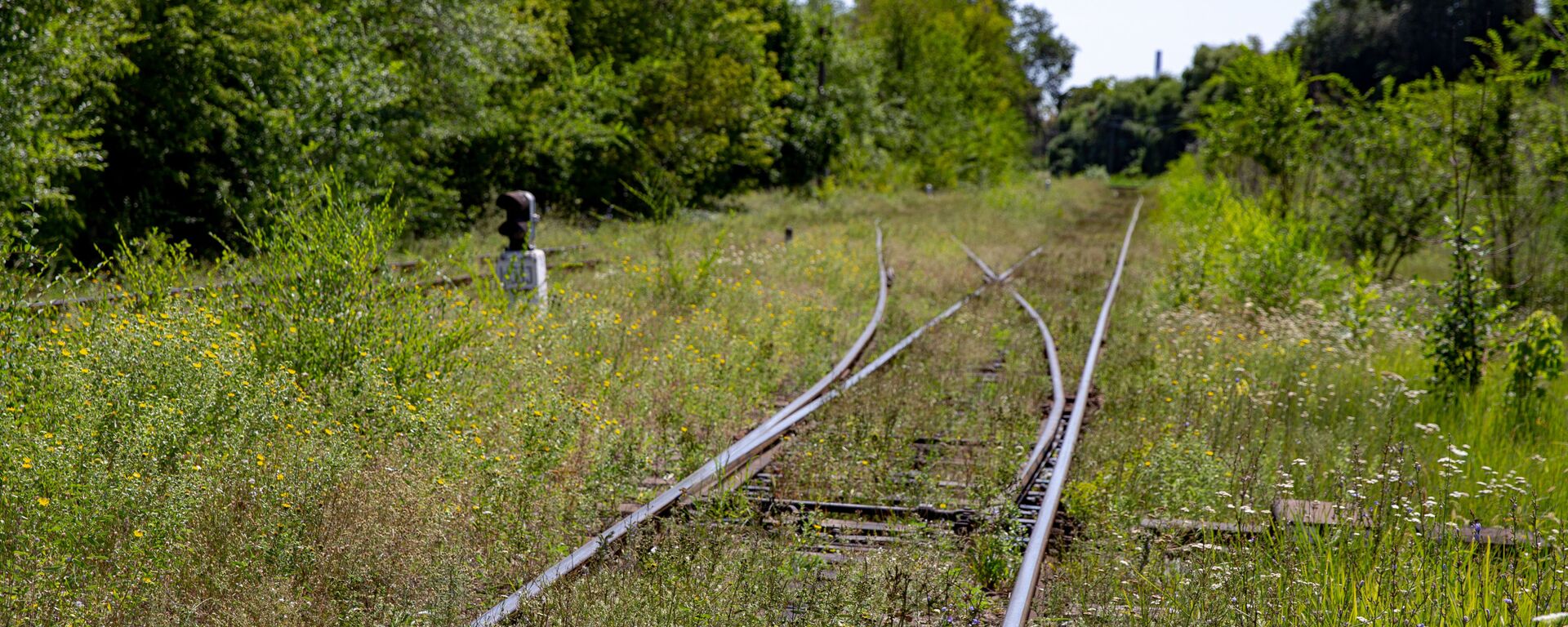 Железная дорога - Sputnik Молдова, 1920, 26.07.2021