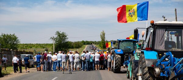 Protestul agricultorilor Căușeni - Sputnik Moldova