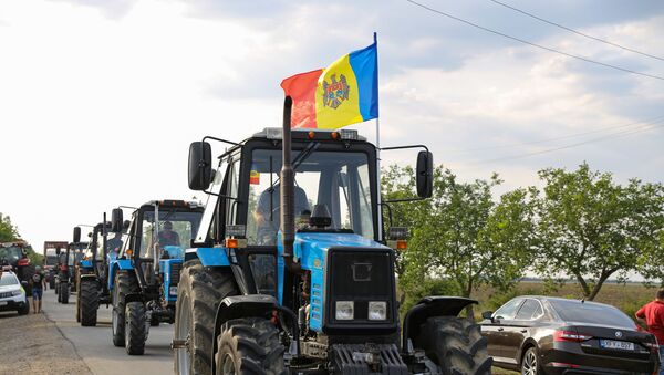 Protestul agricultorilor Căușeni - Sputnik Moldova