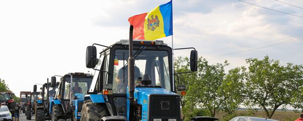 Protestul agricultorilor Căușeni - Sputnik Moldova