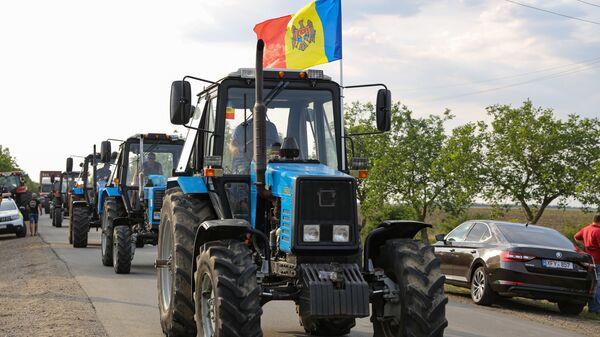 Протест фермеров - Sputnik Молдова