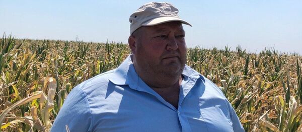 Valeriu Praporșcic - Sputnik Moldova