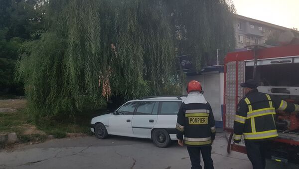 Incendiu pe strada Muncești, Chișinău: arde un copac - Sputnik Moldova