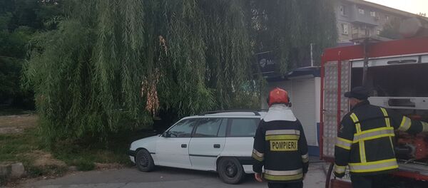 Incendiu pe strada Muncești, Chișinău: arde un copac Incendiu pe strada Muncești, Chișinău: arde un copac - Sputnik Moldova