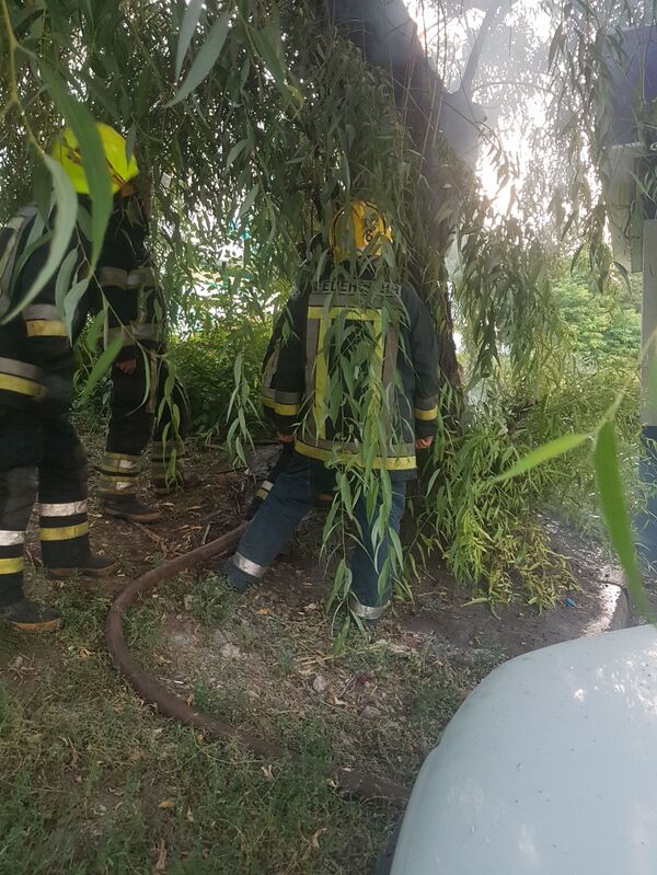 Incendiu straniu pe strada Muncești: arde un copac verde - Sputnik Moldova