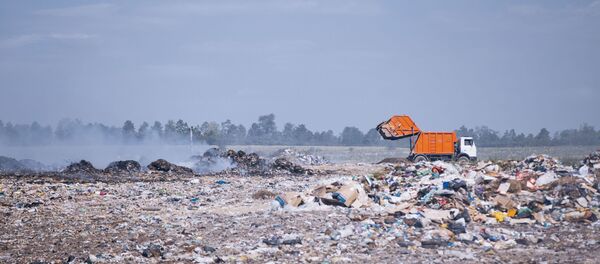 Мусорная свалка. Архивное фото - Sputnik Молдова