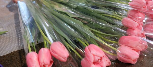 Продажа цветов - Sputnik Молдова