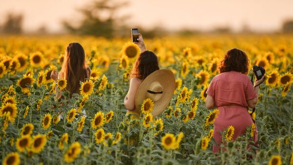 Девушки во время цветения подсолнечника на поле в Симферопольском районе - Sputnik Moldova