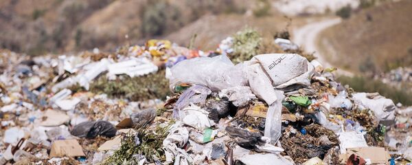 мусорная свалка. - Sputnik Молдова
