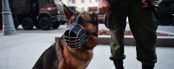 Ночная репетиция парада Победы на Красной площади - Sputnik Молдова