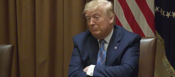 Șeful Pentagonului a anunțat retragerea trupelor SUA din Germania - Sputnik Moldova