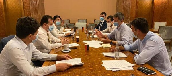 Întrevedere PNL - USR 1 august 2020 Întrevedere PNL - USR 1 august 2020 - Sputnik Moldova-România