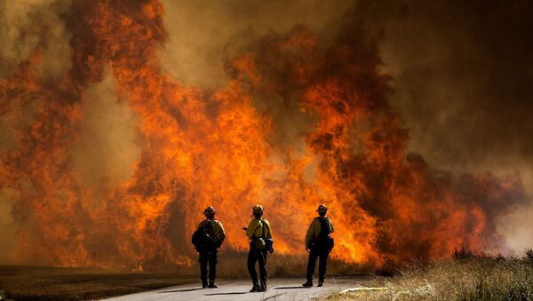 Пожарные у палящей травы в Калифорнии - Sputnik Moldova-România
