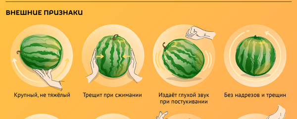 Как правильно выбрать арбуз Как правильно выбрать арбуз - Sputnik Молдова