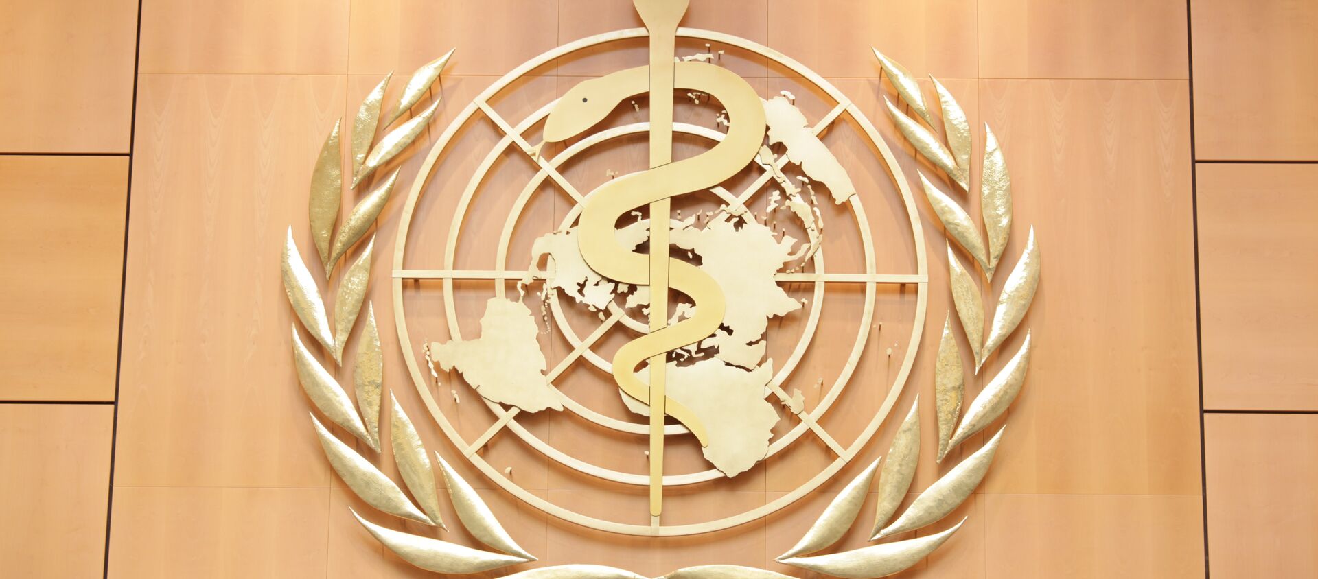 Логотип Всемирной организации здравоохранения (ВОЗ) - Sputnik Молдова, 1920, 24.02.2021