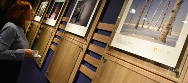 Открытие выставки победителей конкурса им. Андрея Стенина в Анкаре Открытие выставки победителей конкурса им. Андрея Стенина в Анкаре - Sputnik Молдова